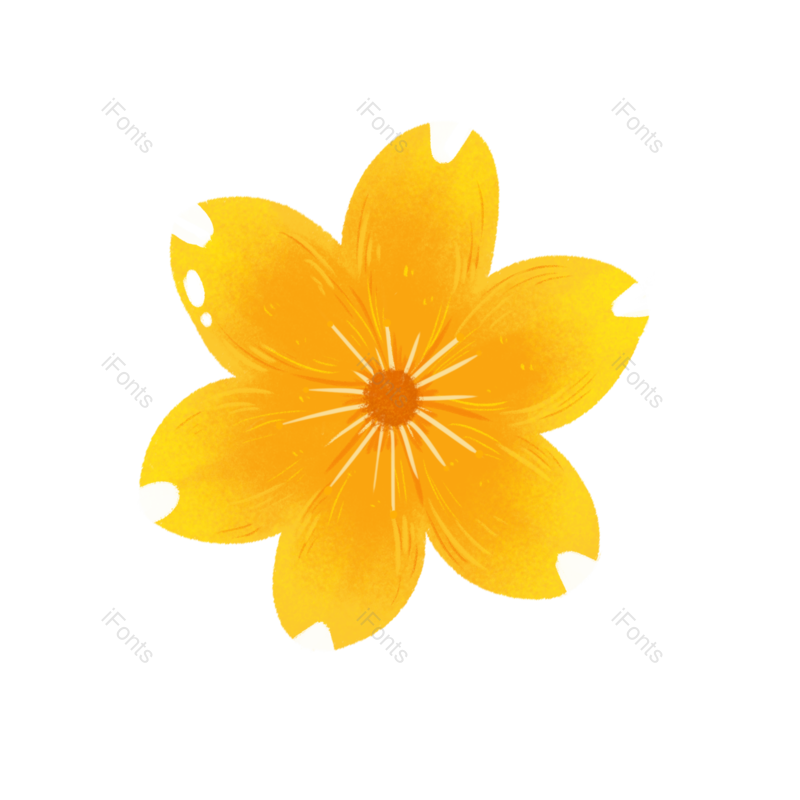 装饰图片,元素元素,素材PNG,花朵免抠素材